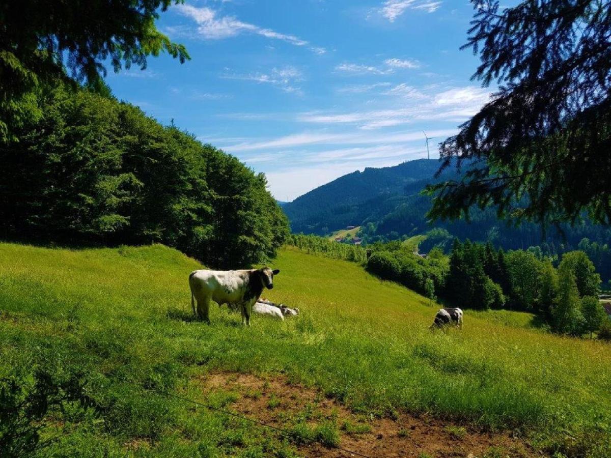 Hotel Walkenstein Oberwolfach Екстериор снимка