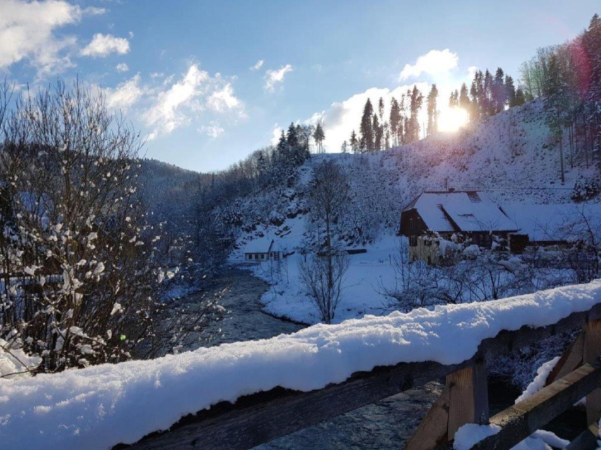 Hotel Walkenstein Oberwolfach Екстериор снимка