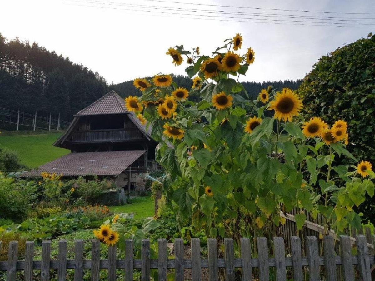 Hotel Walkenstein Oberwolfach Екстериор снимка
